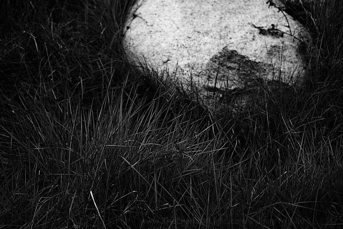 Stone and grass