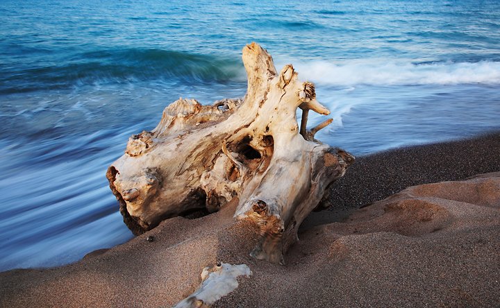 Eroded trunk