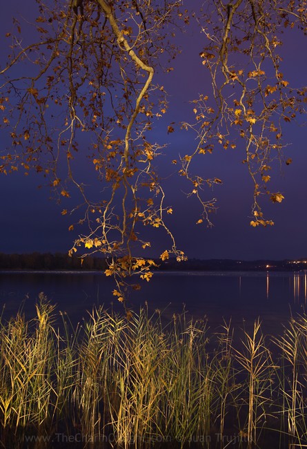 Meeting at night