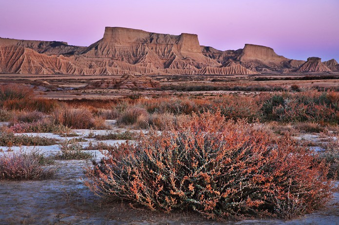 Las Bardenas III