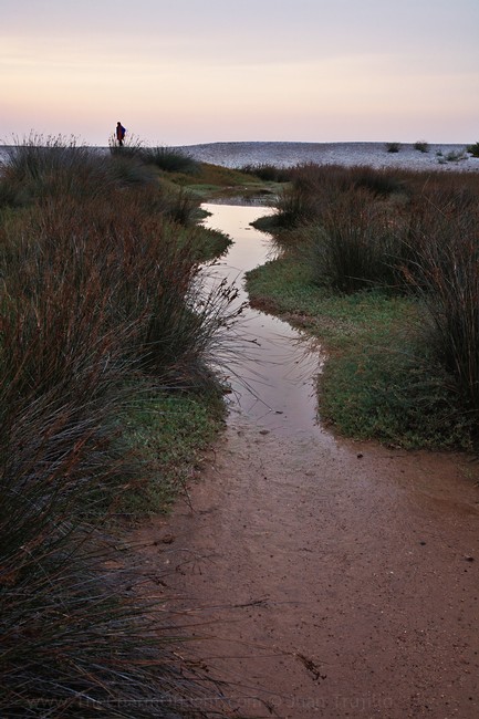 Evening walk