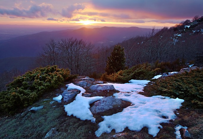 Abandoned snow