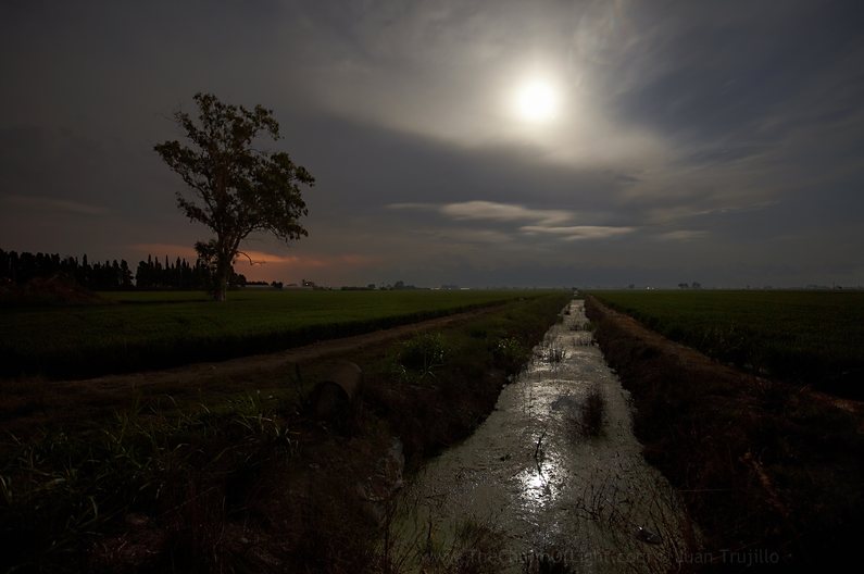 Moonlit channel