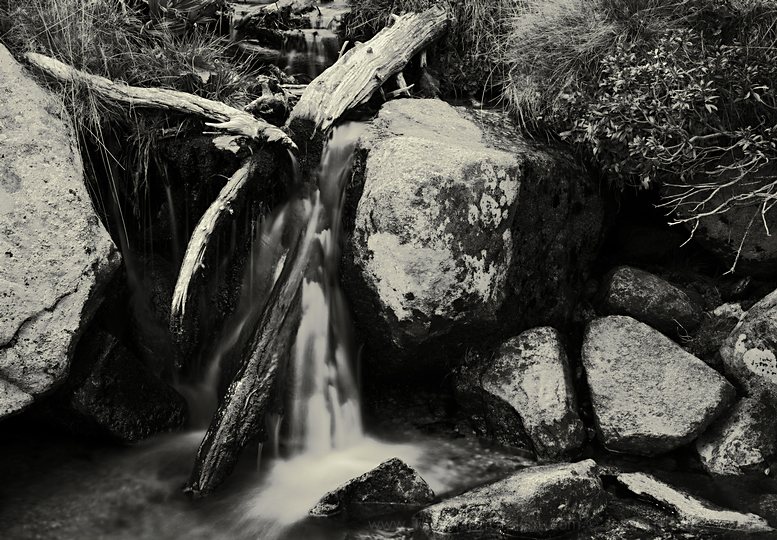 Wood & Water