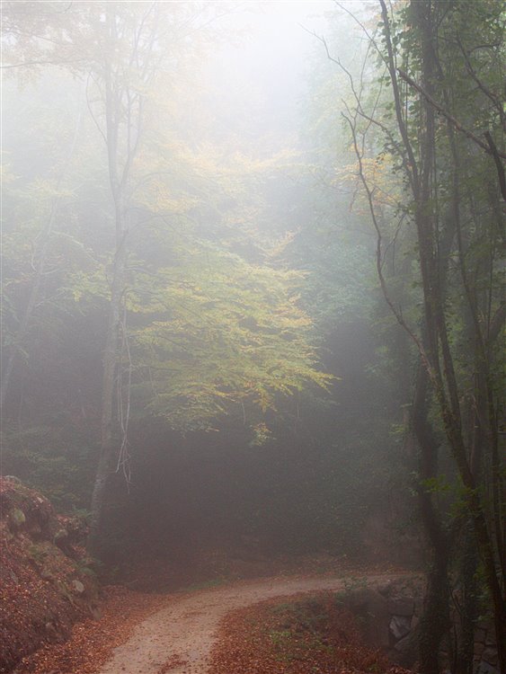 The Charm of Light » Hazy path